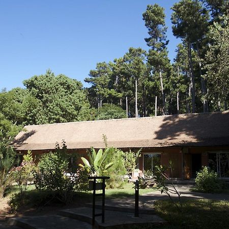 Hotel Lodge Au Bois Vert Antananarivo International Airport Ivato Kültér fotó